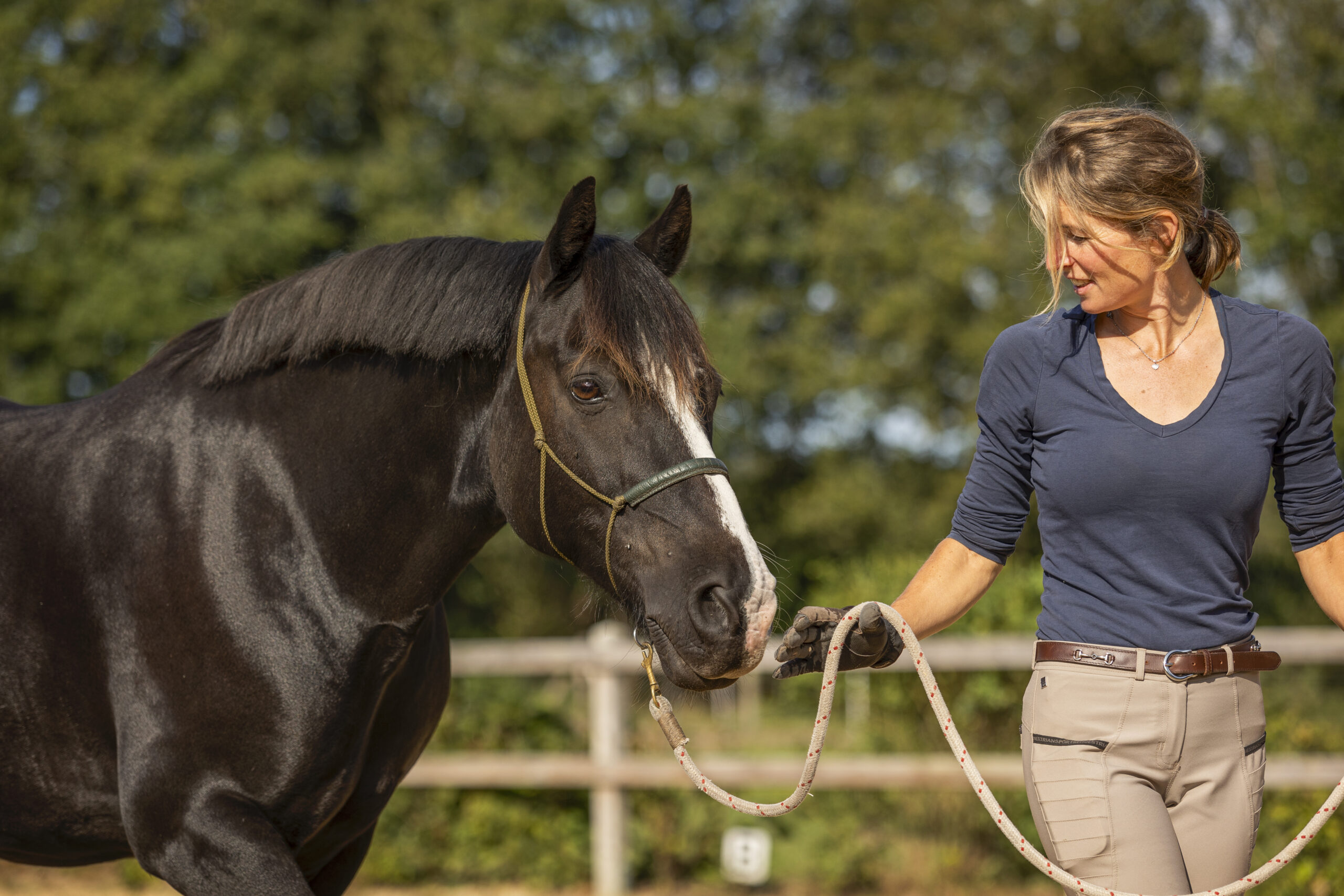 Toby grondwerk Toby grondwerk