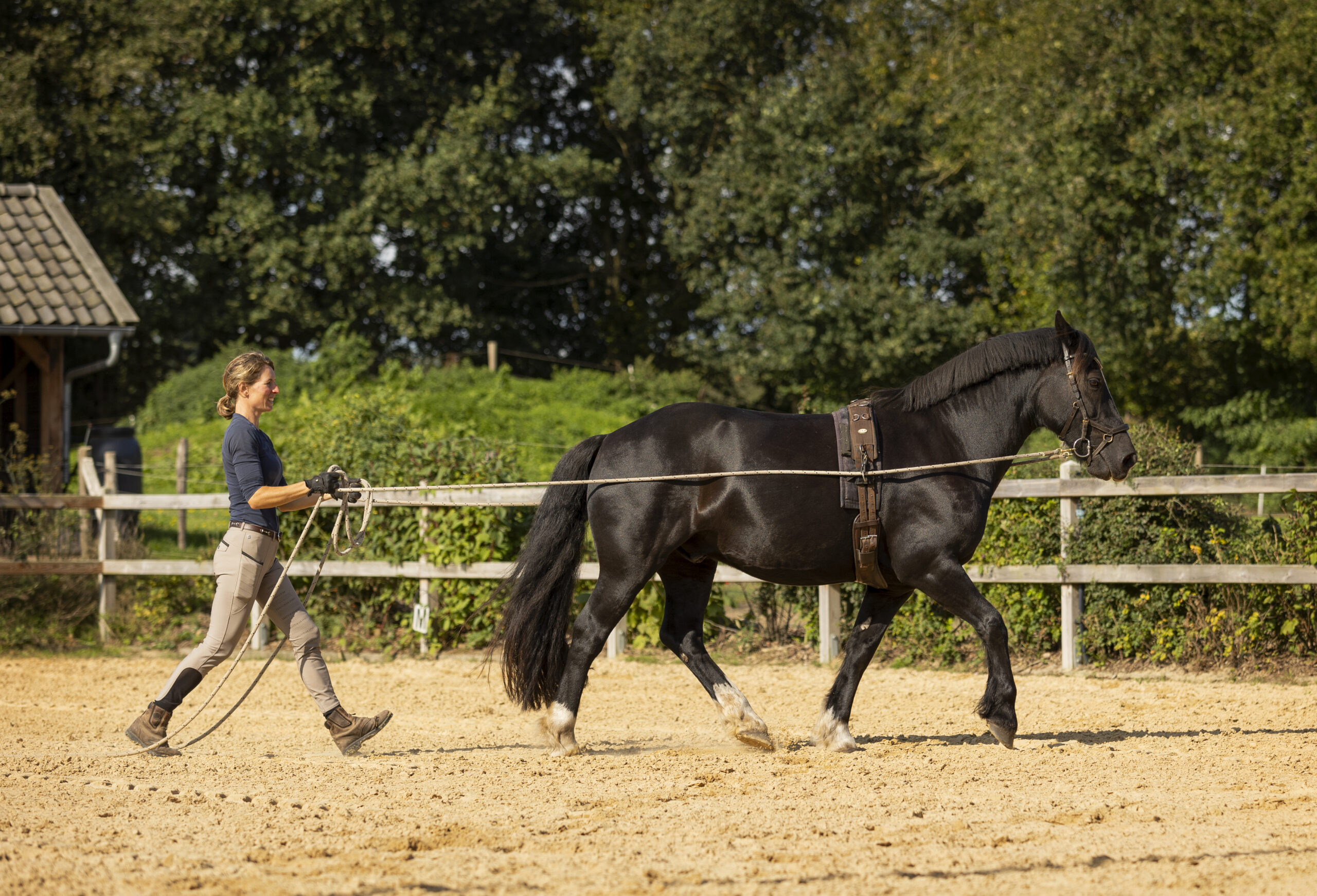 Toby DLL draf Toby DLL draf