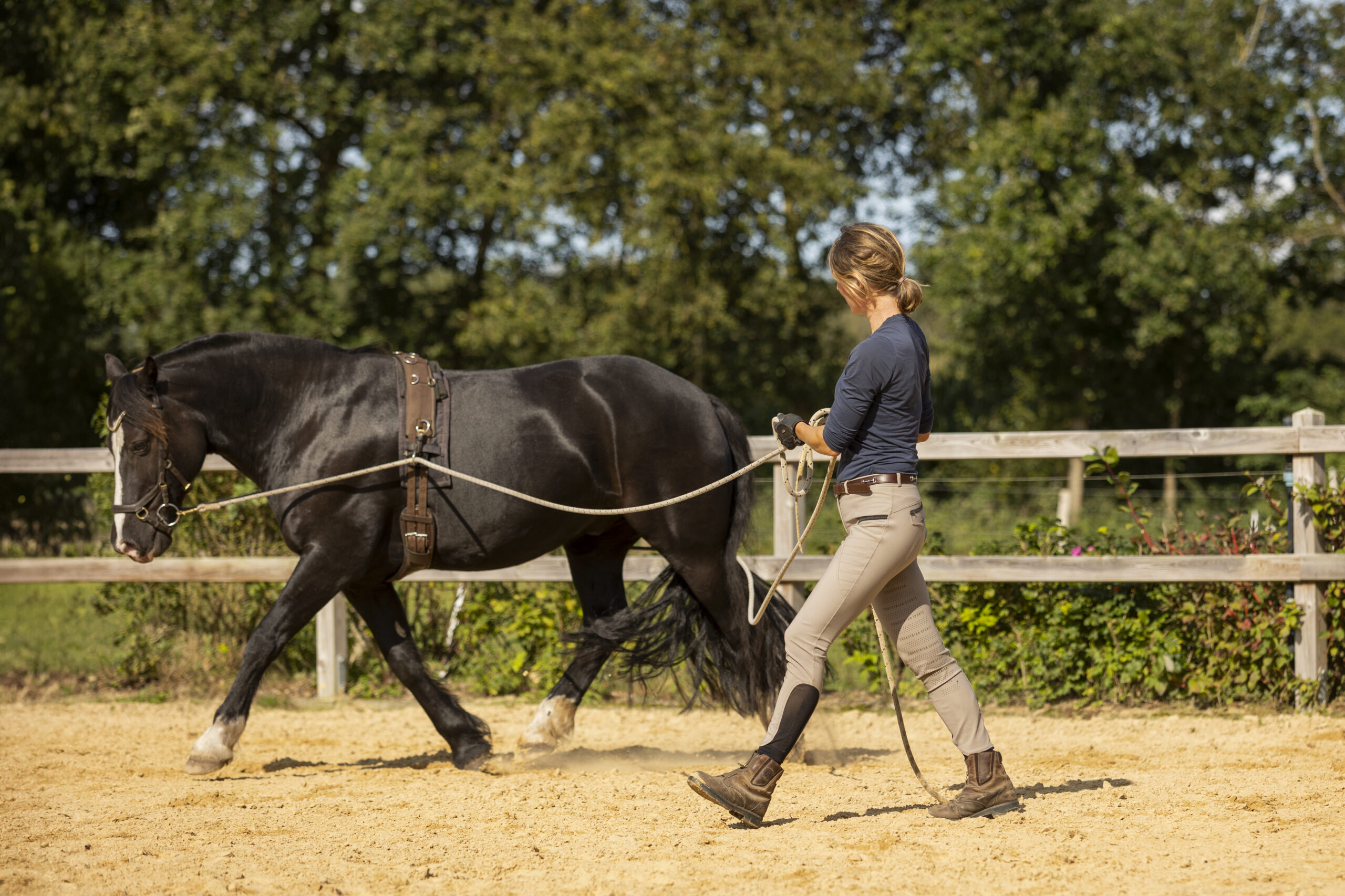 Toby DLL draf Toby DLL draf