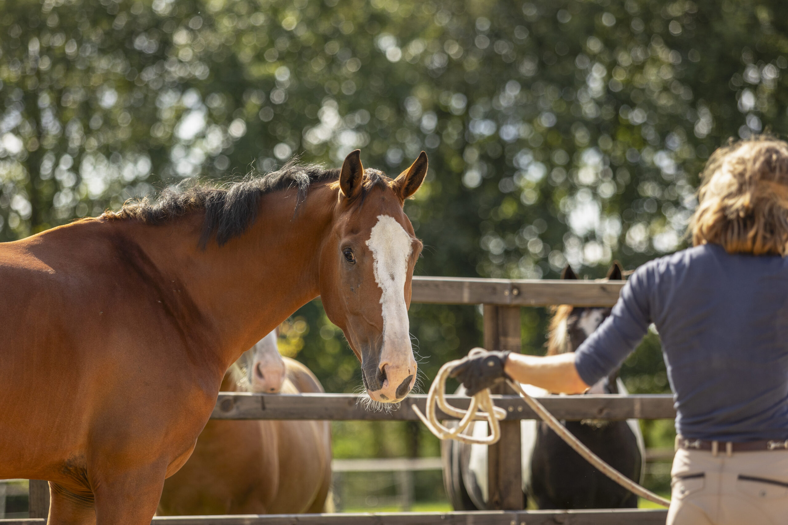 Loswerken Frits Loswerken Frits