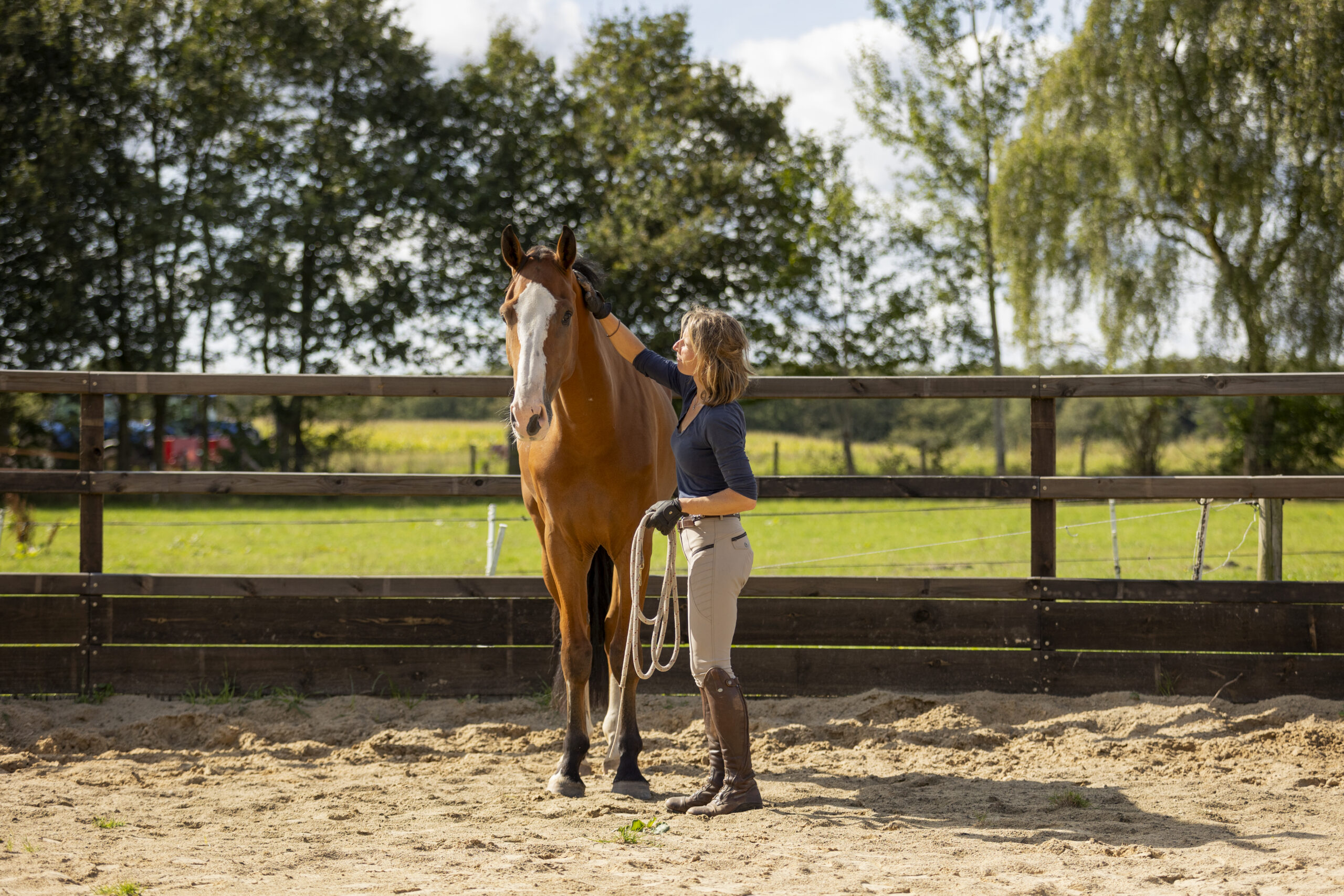 Loswerken Frits Loswerken Frits