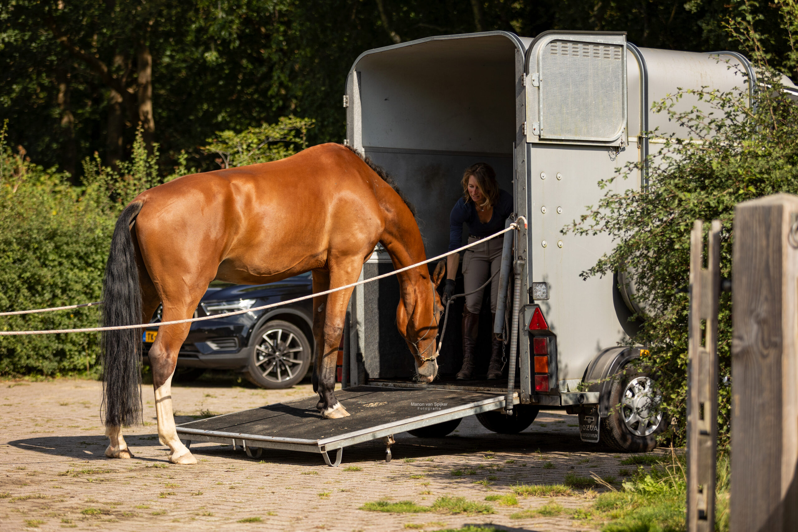 Buitenrit Drenthe, tinker, haflinger, holtingerveld