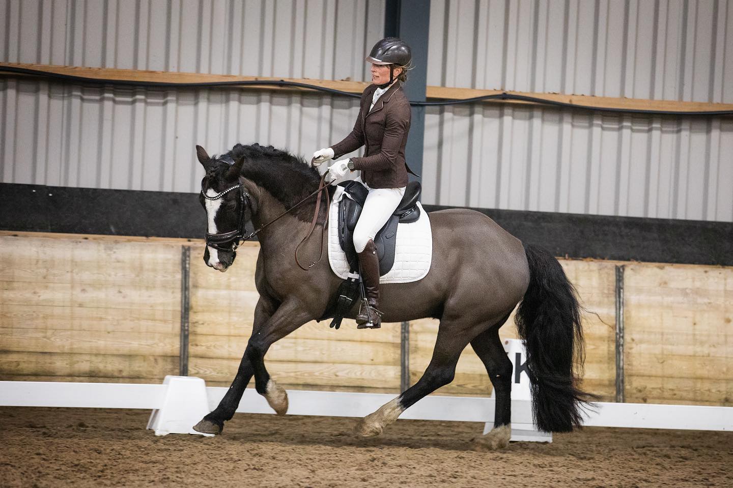 Toby dressuur Toby dressuur