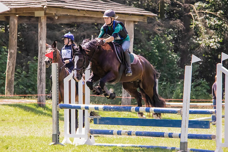 Toby springen Toby springen