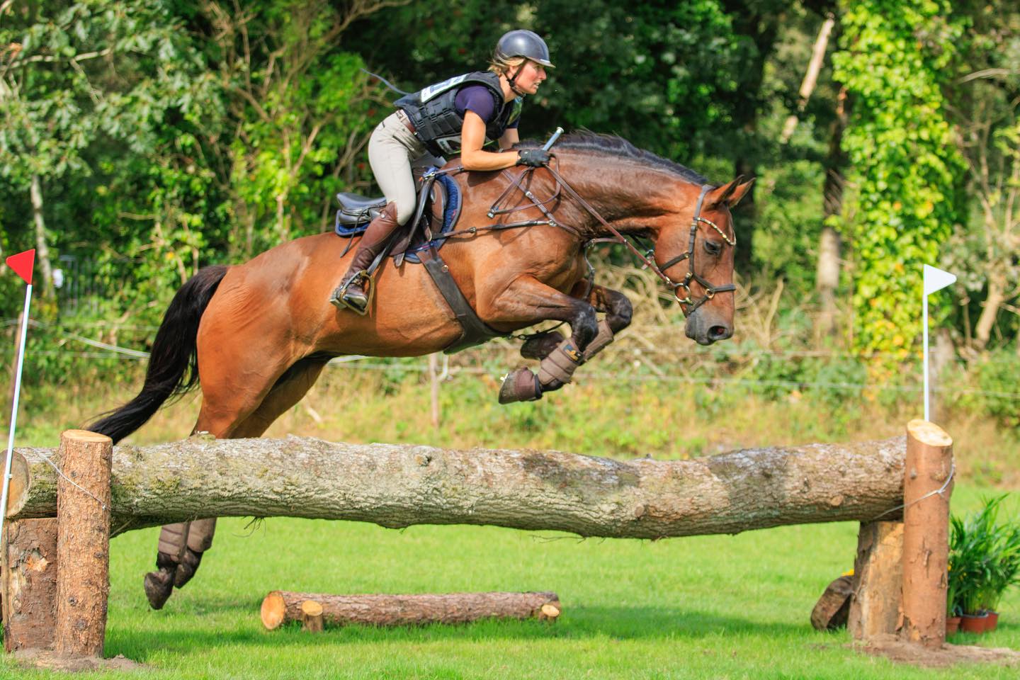 Zafiero cross Zafiero cross