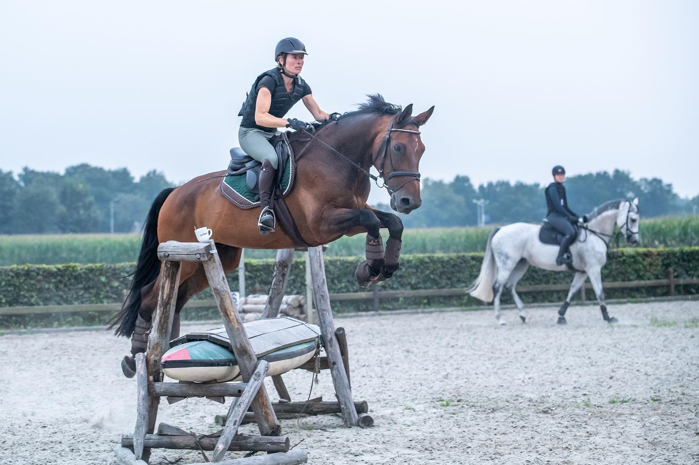 Zafiero springen Zafiero springen