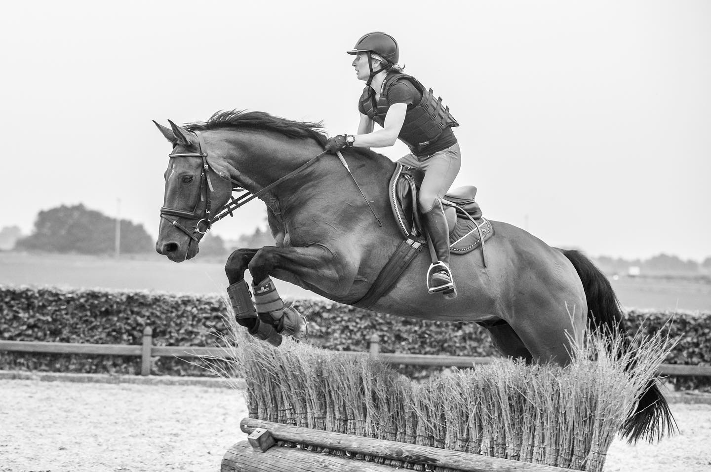 Zafiero springen1 Zafiero springen1